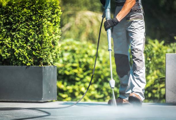 Best Solar Panel Cleaning  in Frenchtown, NJ