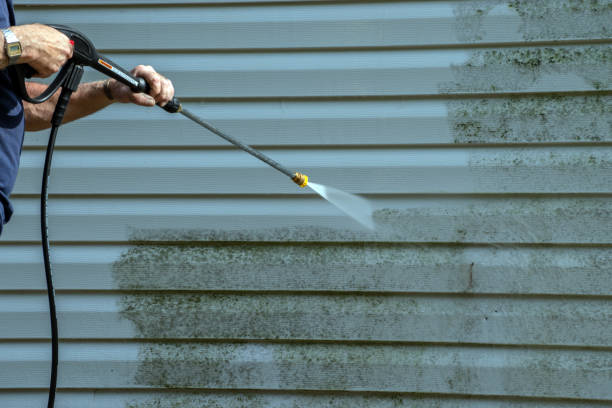 Best Driveway Pressure Washing  in Frenchtown, NJ