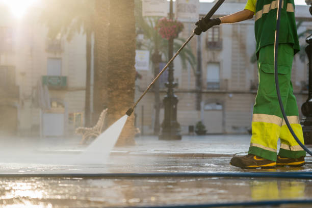 Best Roof Washing  in Frenchtown, NJ